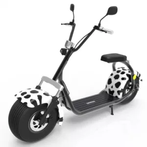 ZTE Moped electric RoBaRo