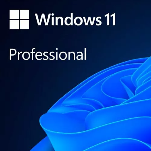 Microsoft Windows 11 Professional 64-bit ESD