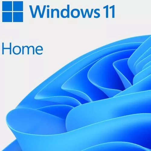 Microsoft Windows 11 Home 64-bit ESD