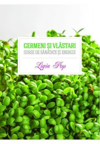 Curtea Veche GERMENI SI VLASTARI