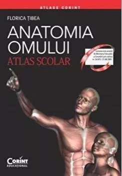 Florica Tibea Anatomia omului. Atlas scolar
