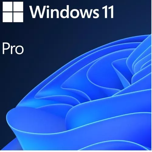 Microsoft Windows 11 Pro 64 bit, Engleza, DVD